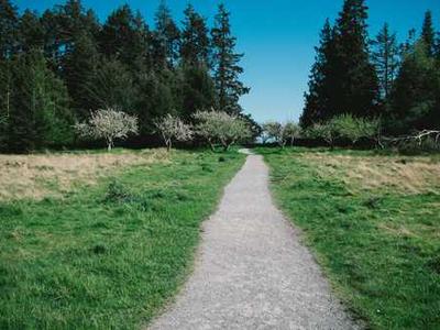 Path